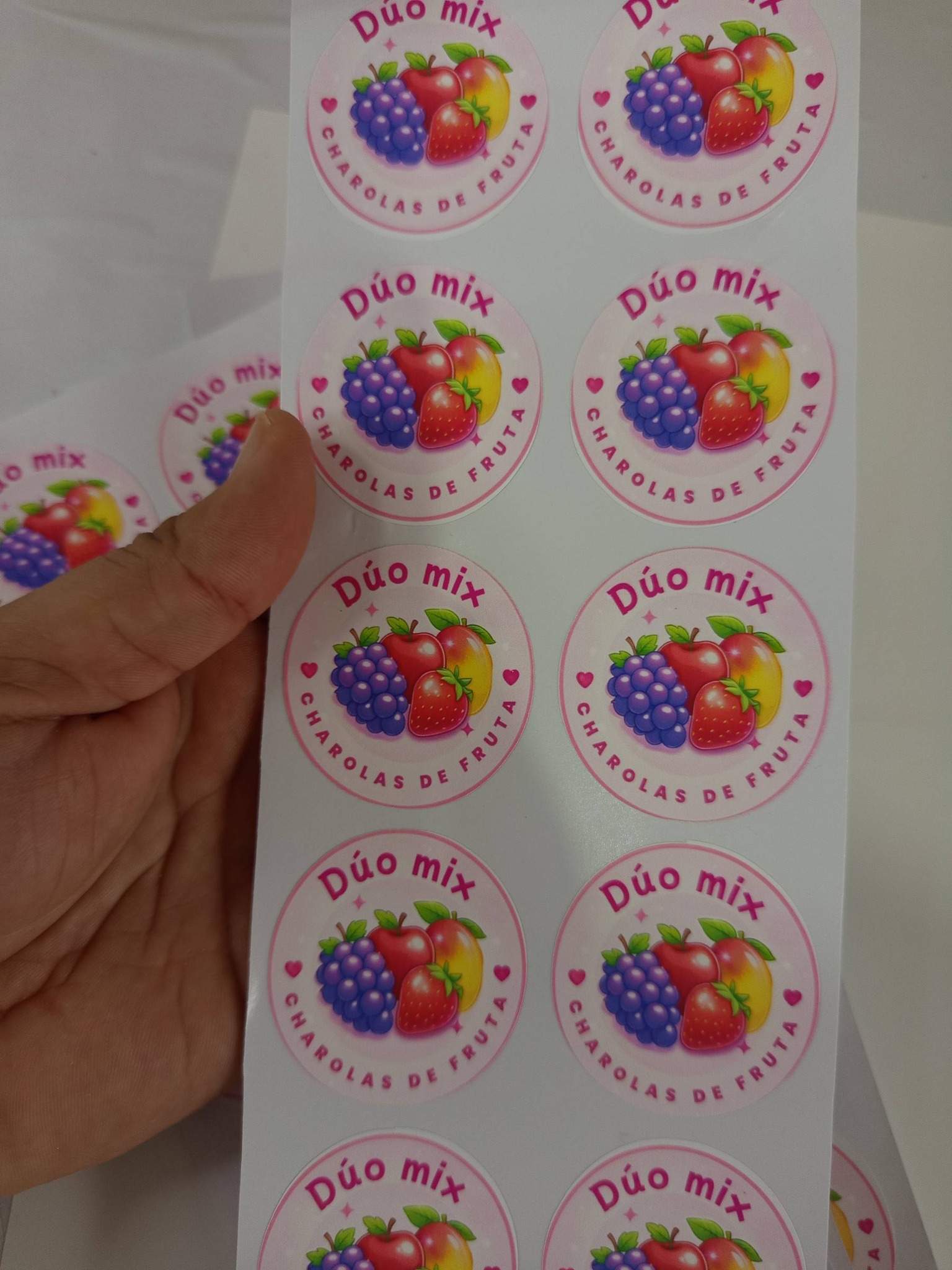 Impresión Publicitaria y Stickers Chetumal